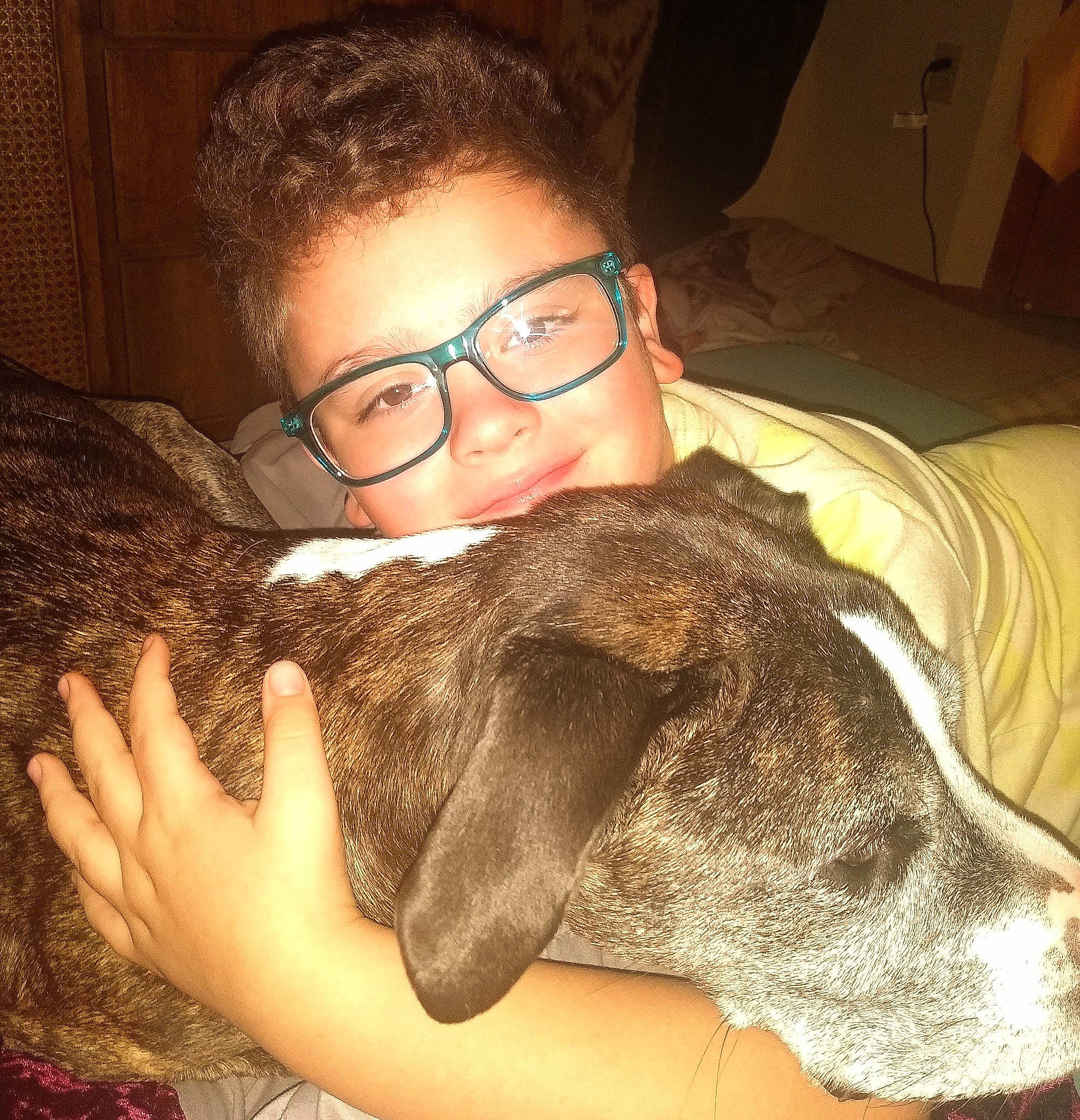 Dakota joined the competition — help win amazing prizes! carnivore, comfort, companion_dog, dog, dog_breed, ear, eyewear, fawn, fur, glasses, jaw, mammal, organ, person, smile, snout, sporting_group, sunglasses, vertebrate, vision_care