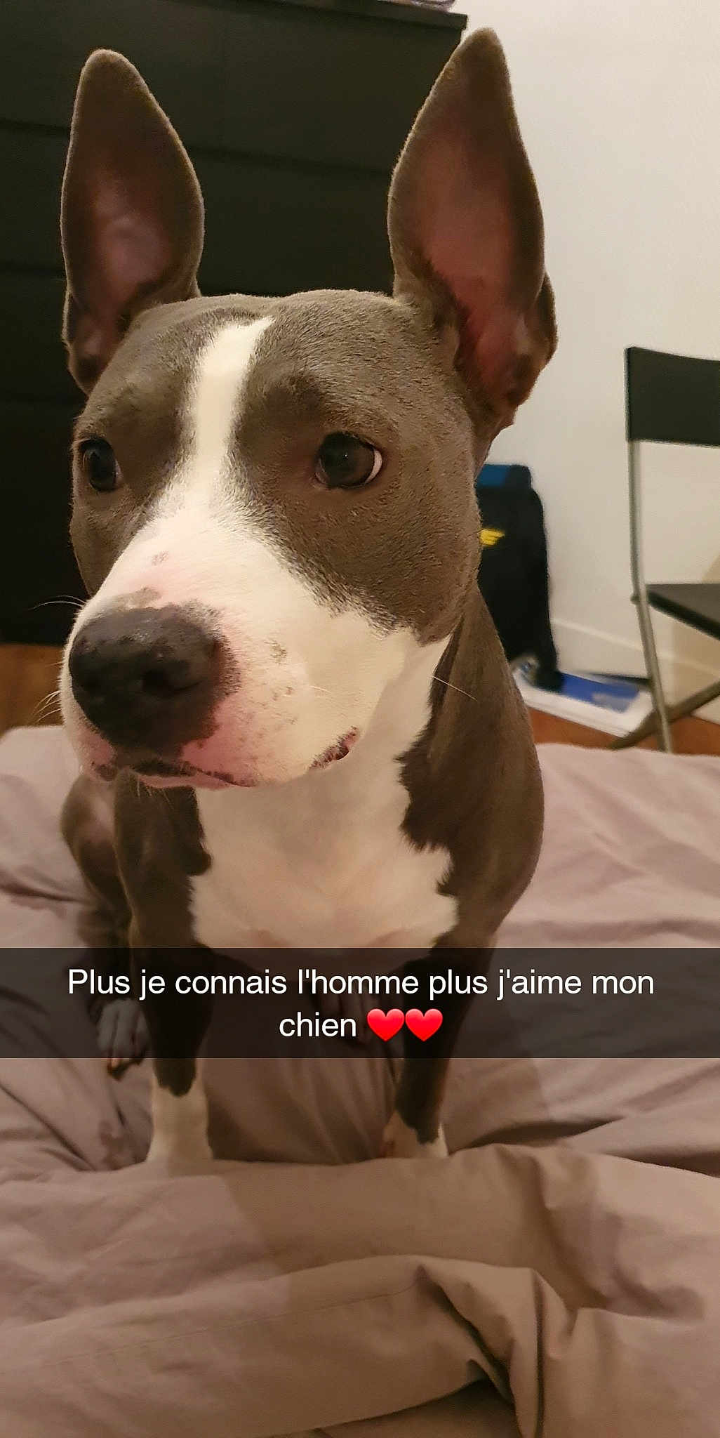 Naya
