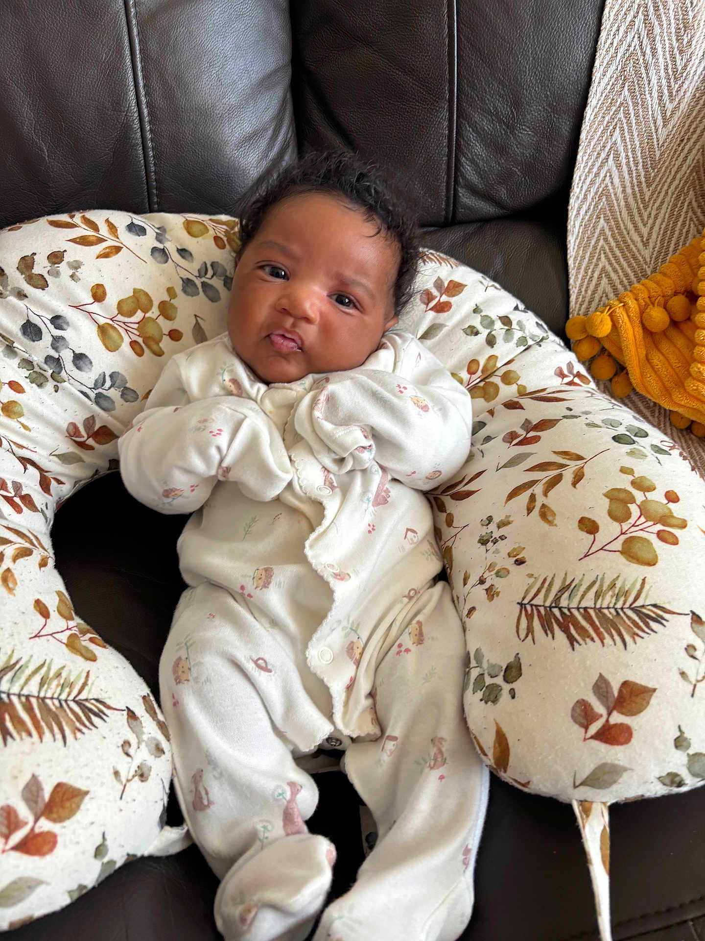 Elora joined the competition — help win amazing prizes! baby, infant, onesie, cushion, leaf_pattern, brown_leather, face, expression, cute, cozy, indoor, furniture, child, person, newborn, soft, seated, home, comfort, portrait