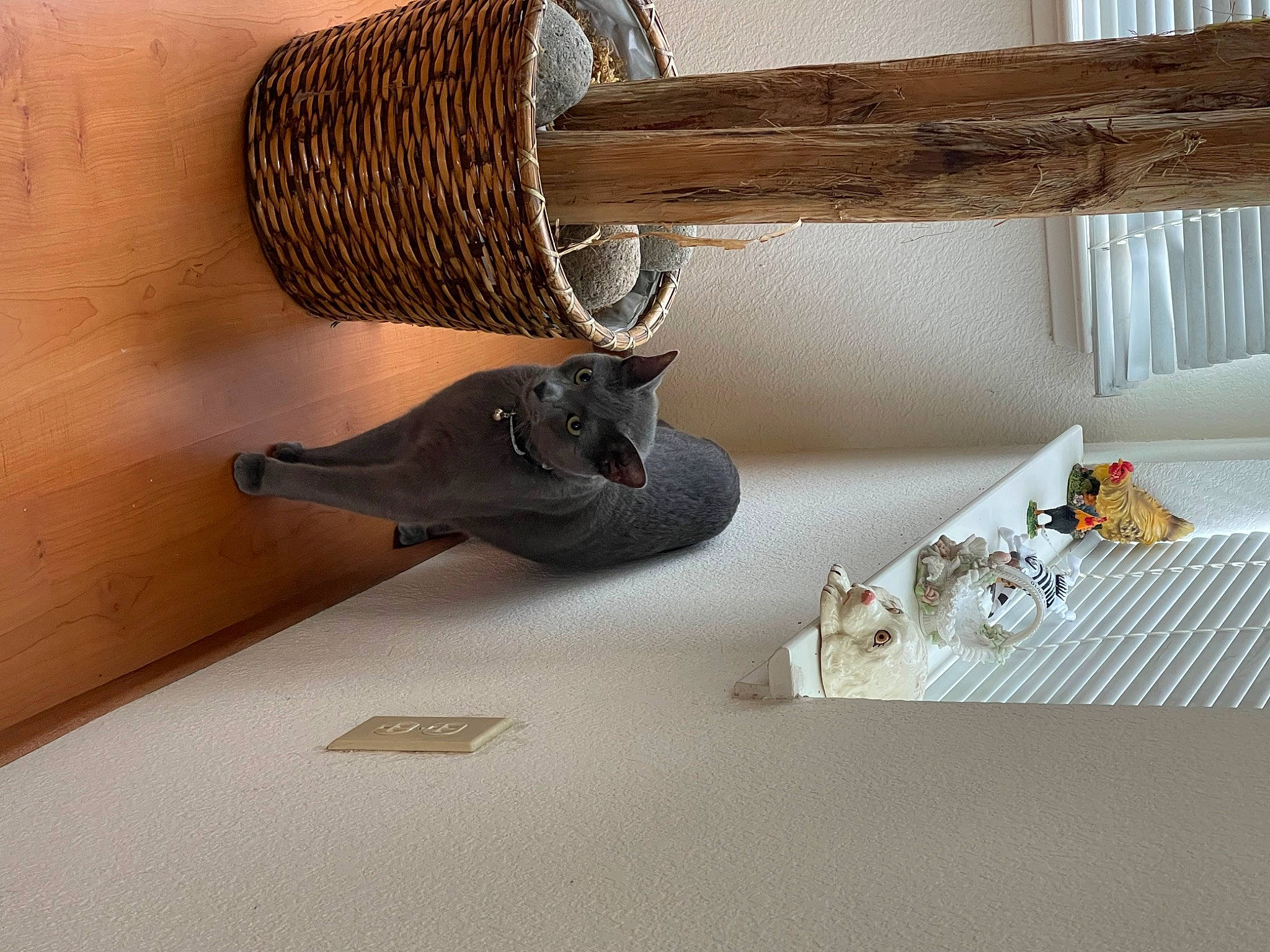 Picarote is registered to the contest to win money with this photo: art, ceiling, flooring, hardwood, house, metal, plywood, rectangle, room, sculpture, shelf, shelving, stairs, thread, visual_arts, wood, wood_stain