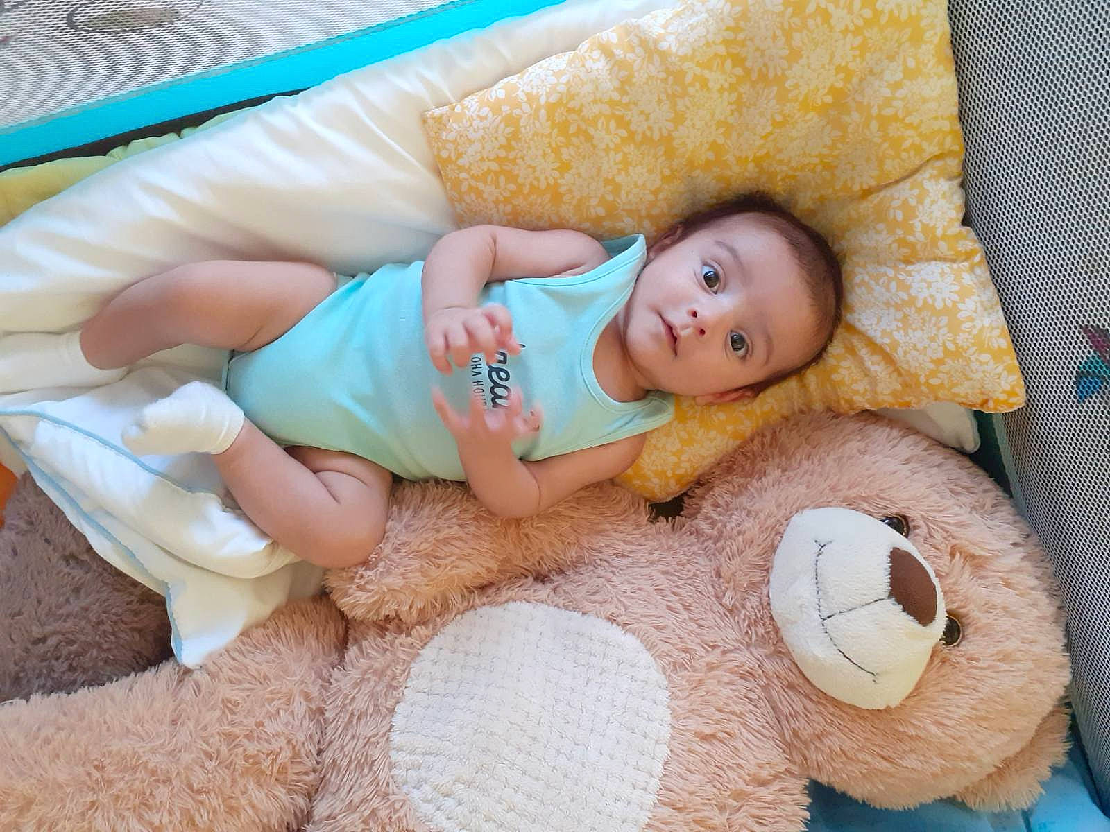Sargis participe au concours pour gagner de l'argent avec cette photo : baby, baby_products, baby_sleeping, bedtime, child, nap, person, product, sleep, stuffed_toy, toddler, toy
