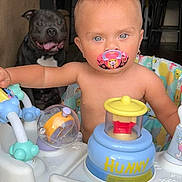 Winter is registered to the contest to win money with this photo: animal, baby, birthdaycake, bulldog, cake, canine, couch, cream, dessert, dog, face, food, head, icing, person, pet, photography, portrait, puppy, toy