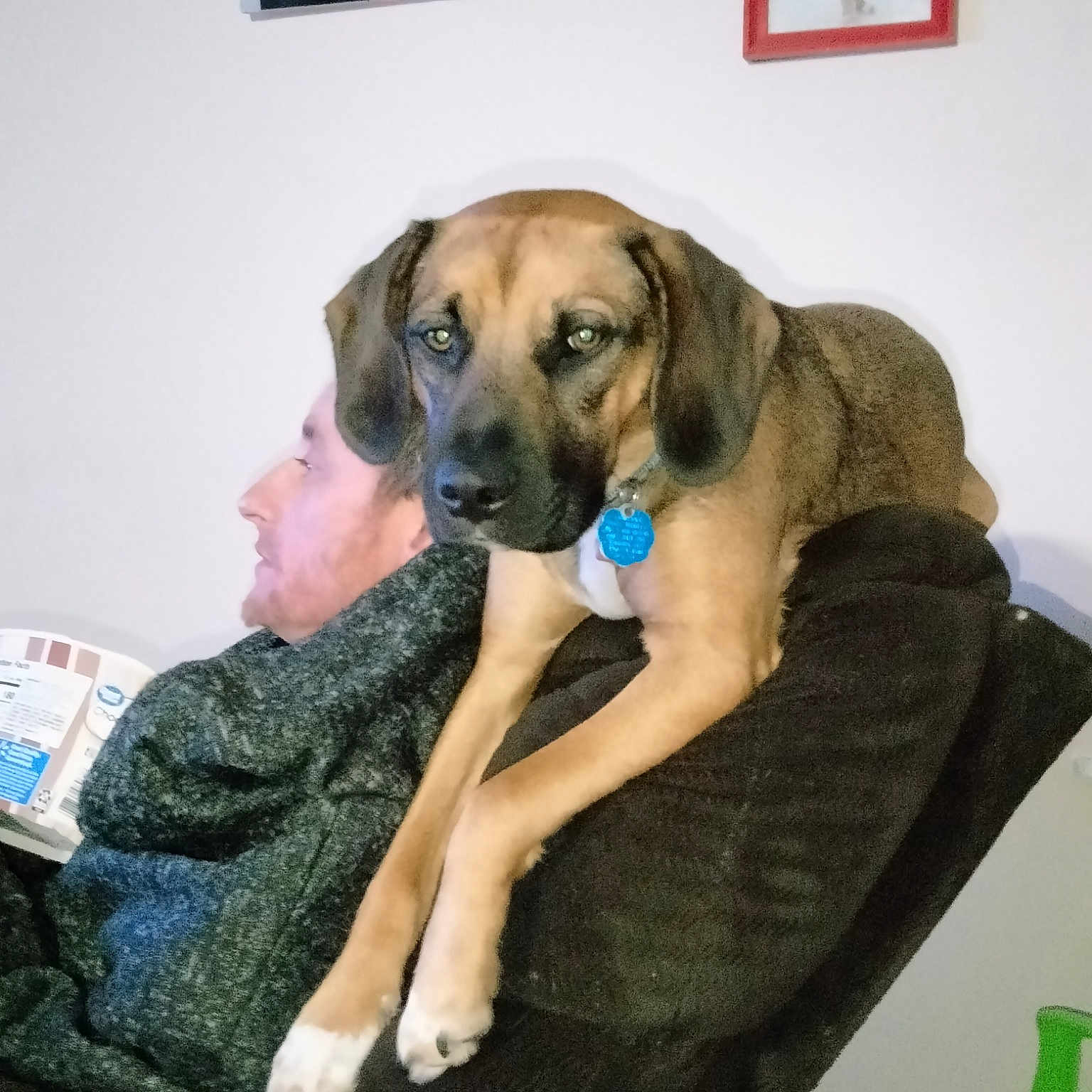 Max