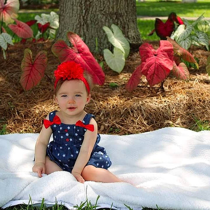 Ansleigh joined the competition — help win amazing prizes! baby_toddler_clothing, beauty, costume_hat, fawn, grass, happy, headgear, headpiece, headwear, leaf, magenta, mammal, people, people_in_nature, person, plant, red, smile, toddler, tree