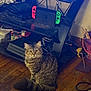 Fluffy is registered to the contest to win money with this photo: cat, tabby_cat, floor, wooden_floor, gaming_console, nintendo_switch, wii_u, video_games, game_cases, controller, indoor, pet, furniture, technology, cable, sitting, curious, brown, striped, fluffy
