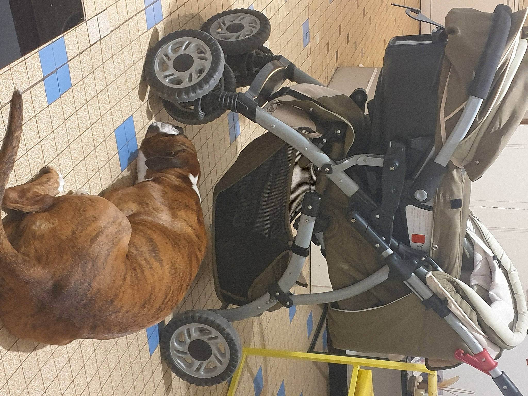 Chanel a rejoint le concours — aidez-le/la à gagner de superbes lots ! auto_part, automotive_tire, automotive_wheel_system, mode_of_transport, product, rim, spoke, vehicle, wheel