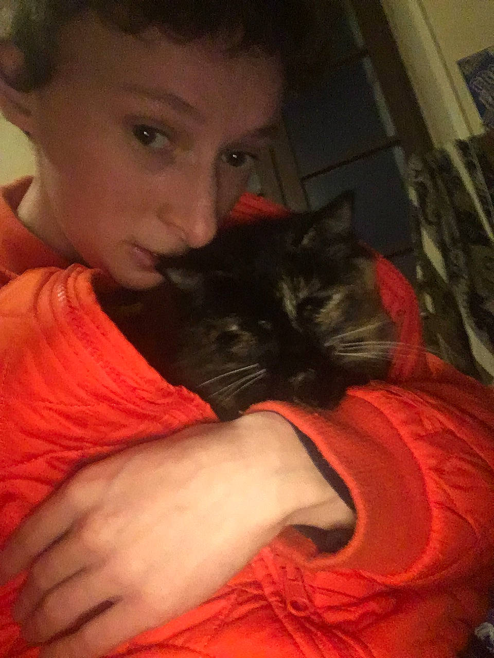 Orora a rejoint le concours — aidez-le/la à gagner de superbes lots ! black_hair, carnivore, cat, comfort, ear, eye, felidae, finger, gesture, hand, iris, lap, long_hair, mammal, mouth, neck, small_to_medium_sized_cats, textile, vertebrate, whiskers