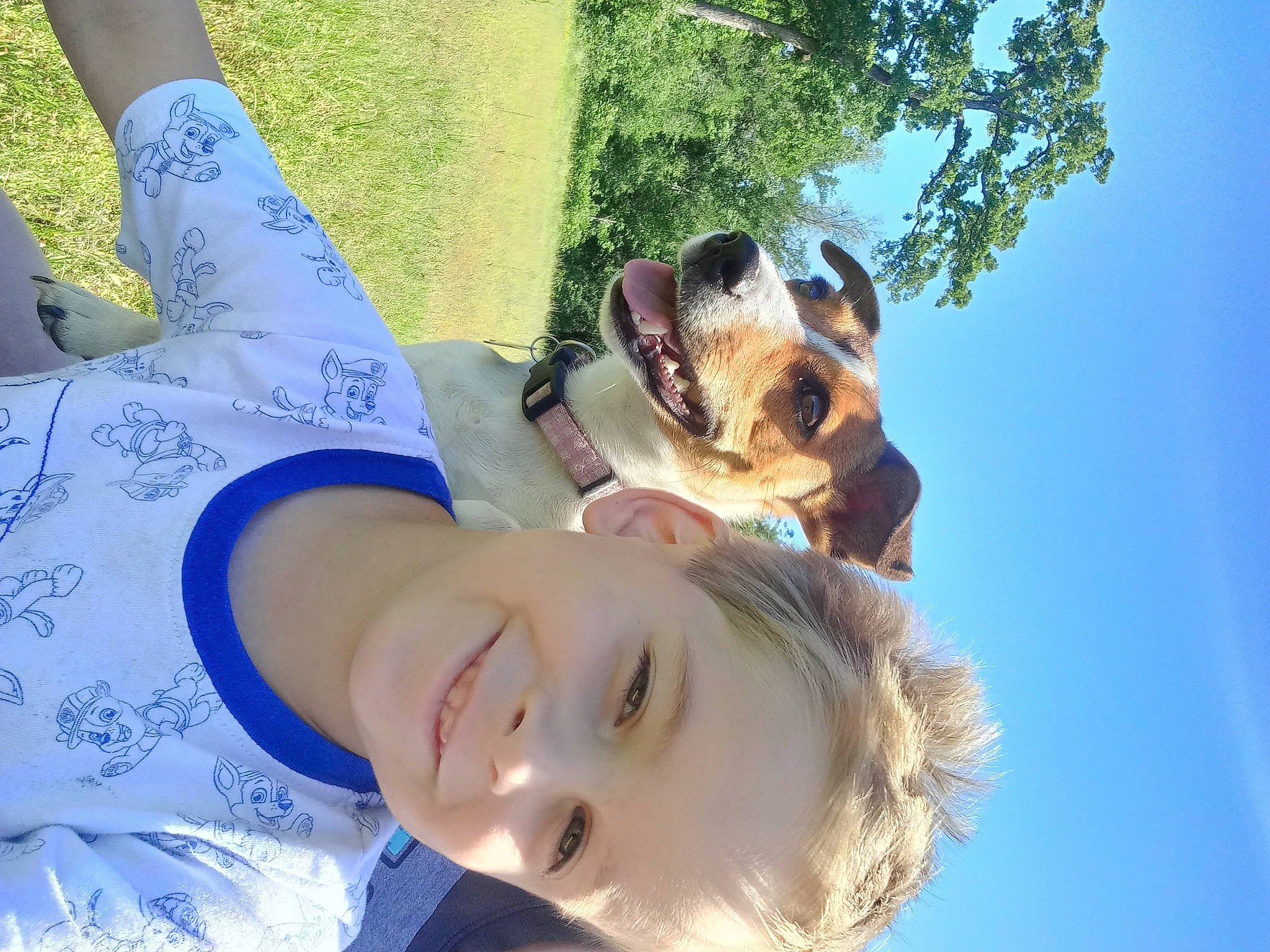 Mabel Lee is registered to the contest to win money with this photo: blue, carnivore, companion_dog, cool, dog, dog_breed, fawn, fun, gesture, grass, happy, leisure, morning, plant, sky, smile, sunglasses, sunlight, tree, vertebrate