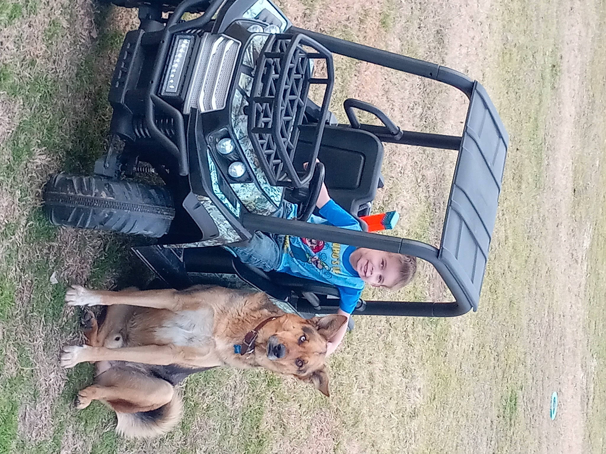 Kai is registered to the contest to win money with this photo: auto_part, automotive_exterior, automotive_lighting, automotive_tire, bumper, car, carnivore, dog, dog_breed, electric_blue, electrical_wiring, fender, grass, hood, motor_vehicle, rim, sporting_group, tire, vehicle, vehicle_door