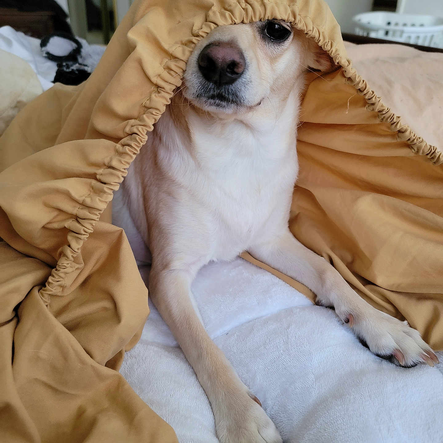 Zoe
