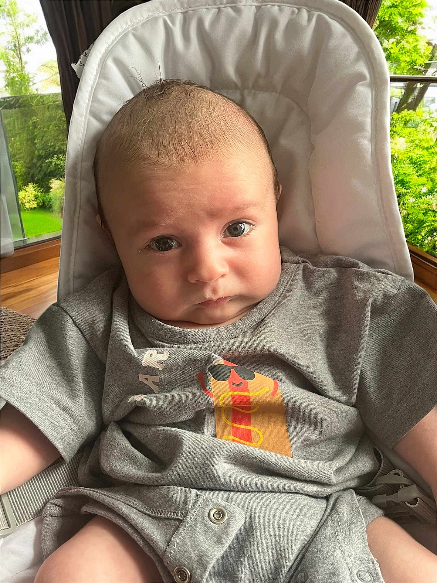 Lazarus joined the competition — help win amazing prizes! baby, infant, onesie, grey_clothing, cartoon_print, baby_chair, face, serious_expression, indoors, window, greenery, natural_light, skin, head, eyes, mouth, arms, legs, comfortable, casual