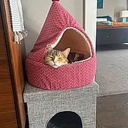 Viking is registered to the contest to win money with this photo: cat, pet_bed, red_tent, indoor, furniture, gray_box, resting_cat, cozy, pom_pom, living_room, carpet, lamp, bed, blanket, wall, wood_floor, relaxed, patterned_fabric, arched_entrance, pet_house