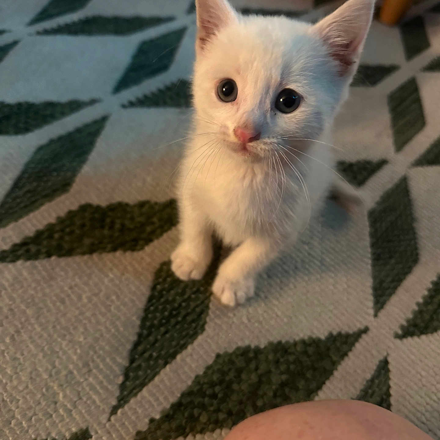 Casper