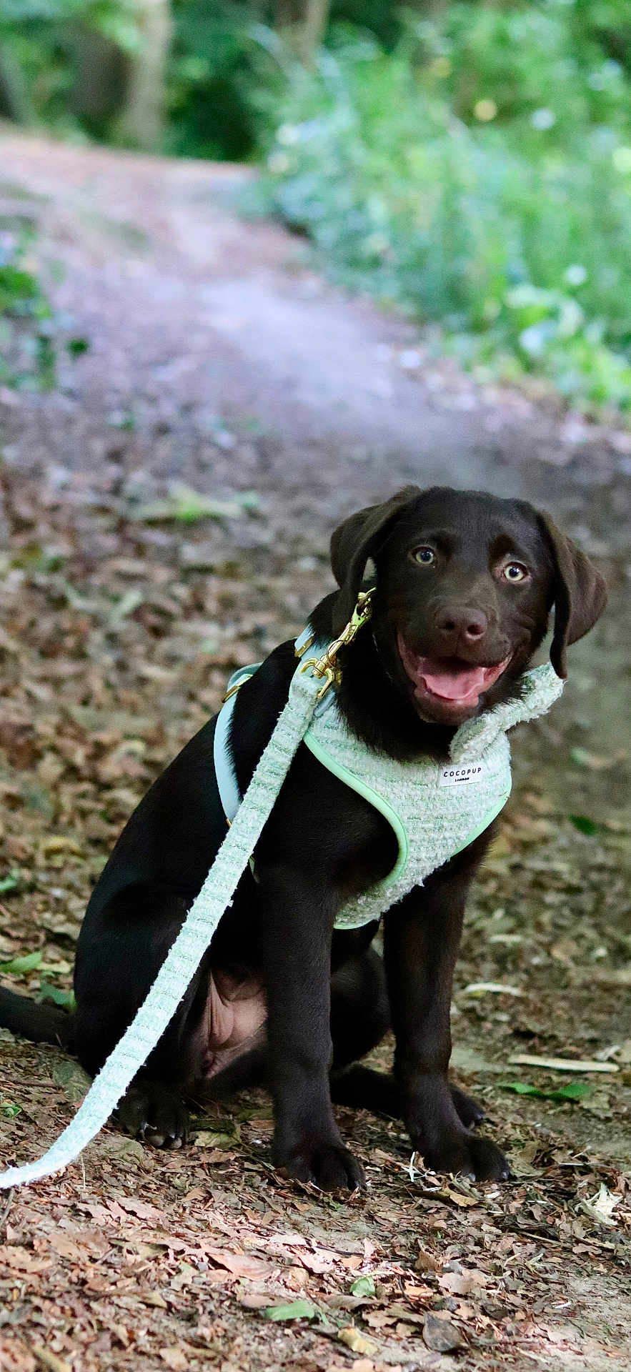 Athena