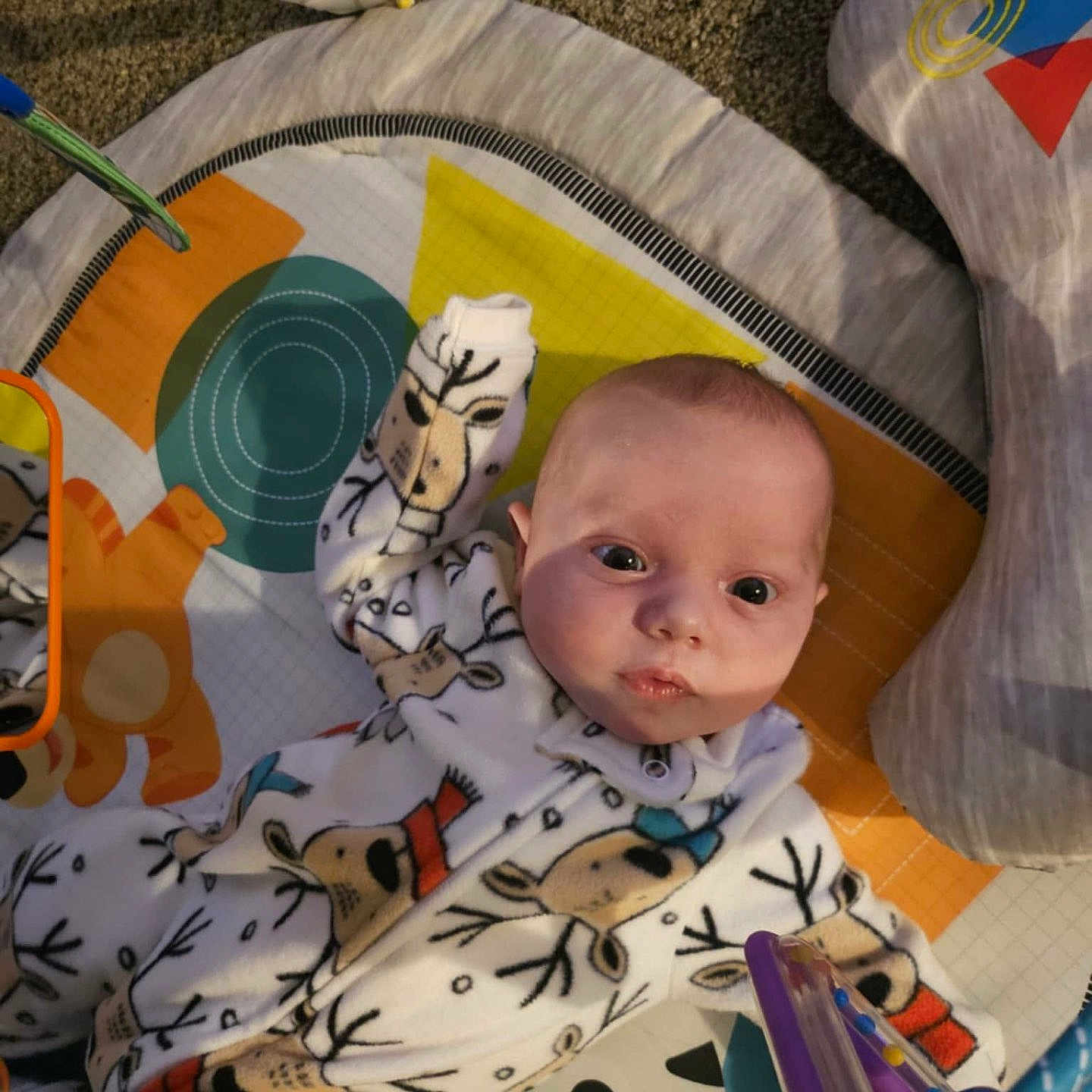 Wytinia joined the competition — help win amazing prizes! baby, carpet, child, clothing, colorful, cozy, cute, expression, face, floor, indoor, infant, looking_up, lying_down, onesie, person, play_mat, reindeer_pattern, toy, young