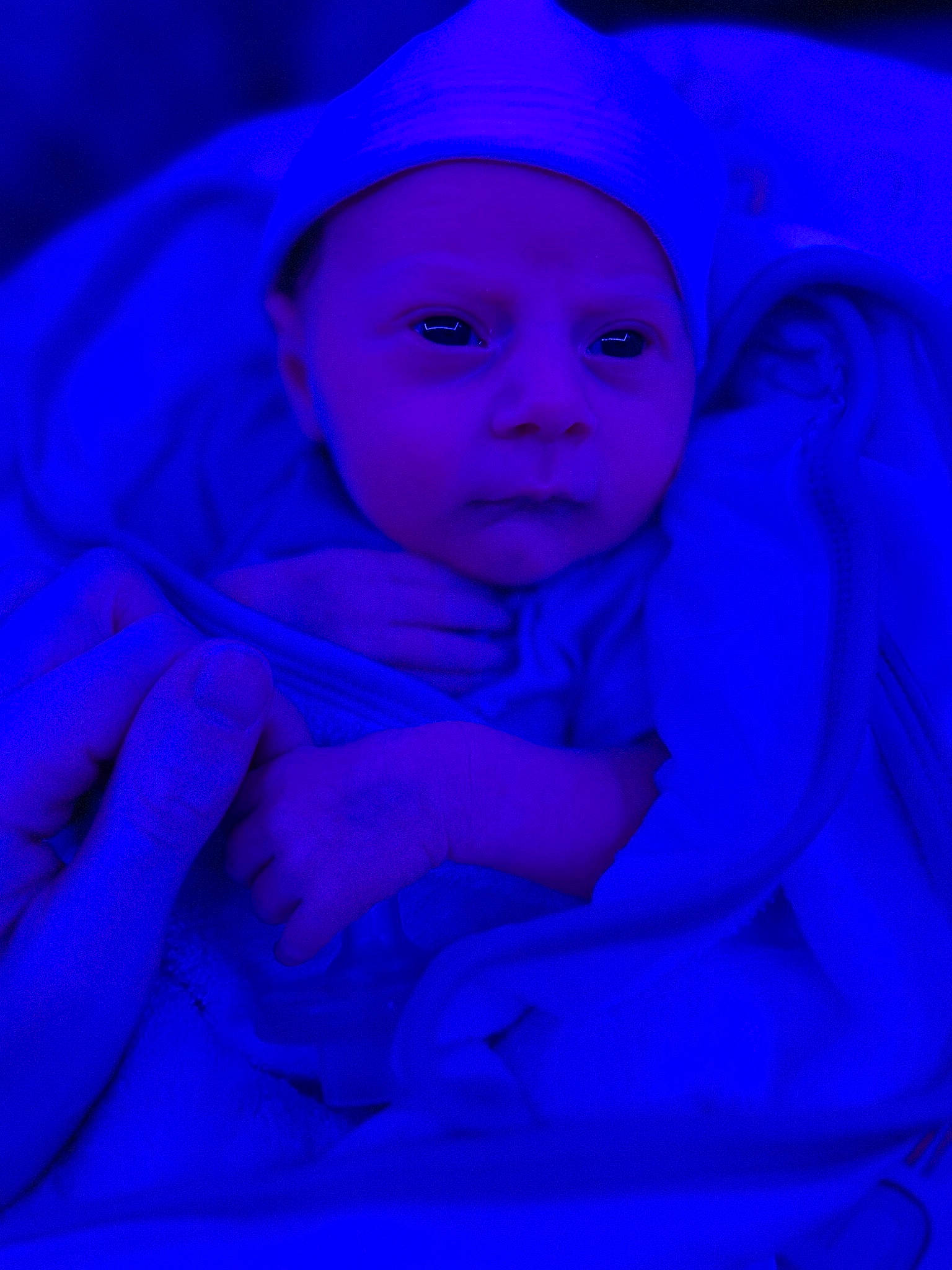 Iris joined the competition — help win amazing prizes! baby, blue, child, darkness, electric_blue, event, flash_photography, fun, magenta, person, petal, purple, room, sitting, toddler, violet