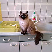 Scarlett participe au concours pour gagner de l'argent avec cette photo :