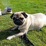 Chanel participe au concours pour gagner de l'argent avec cette photo :