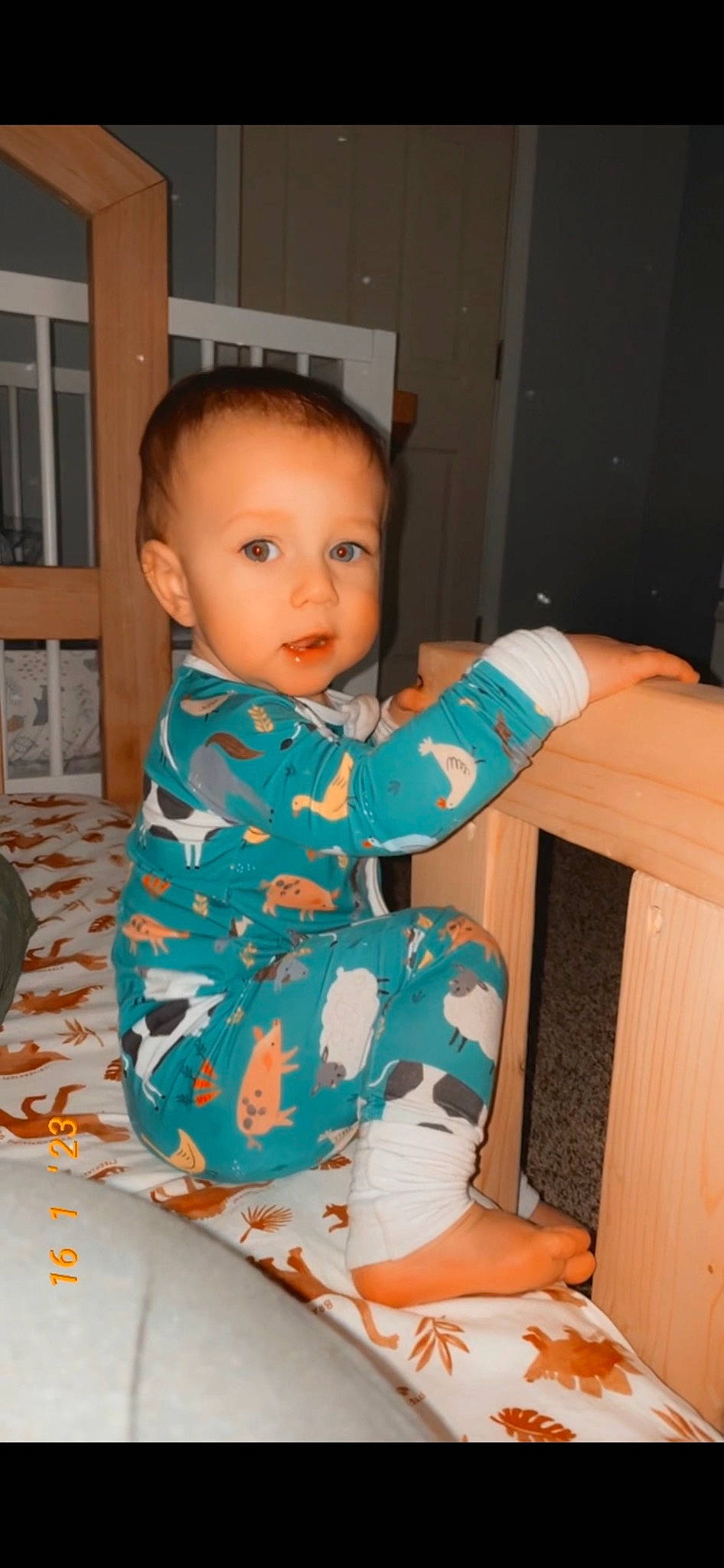 Beau joined the competition — help win amazing prizes! baby, baby_toddler_clothing, cheek, child, comfort, finger, flooring, hairstyle, human_leg, knee, lap, leg, person, product, skin, sleeve, standing, thigh, toddler, window