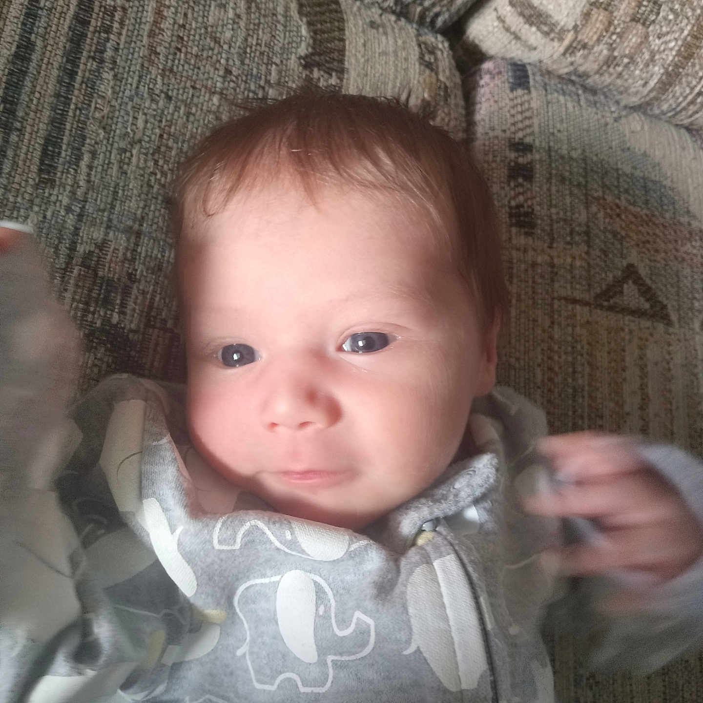 Kaden is registered to the contest to win money with this photo: baby, child, infant, portrait, face, eyes, looking_at_camera, sitting, couch, upholstery, blanket, clothing, onesie, patterned_clothing, hand, indoor, home, close_up, photograph, head