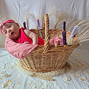 Lyv a rejoint le concours — aidez-le/la à gagner de superbes lots ! baby, wicker_basket, pink_headband, pink_dress, dried_flowers, petals, white_fabric, infant, child, flower_petals, basket_handle, headwear, cute, soft_lighting, indoor, portrait, decorative, floral_arrangement, baby_girl, resting