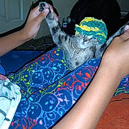 Sunny joined the competition — help win amazing prizes! kitten, cat, hand, person, colorful_pants, patterned_clothing, crocheted_hat, indoor, playful, pet, animal, feline, stretching, cozy, carpet, toy, human_interaction, comfort, cute, domestic