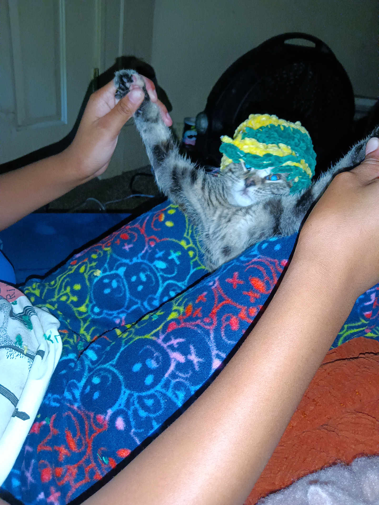 Sunny joined the competition — help win amazing prizes! kitten, cat, hand, person, colorful_pants, patterned_clothing, crocheted_hat, indoor, playful, pet, animal, feline, stretching, cozy, carpet, toy, human_interaction, comfort, cute, domestic