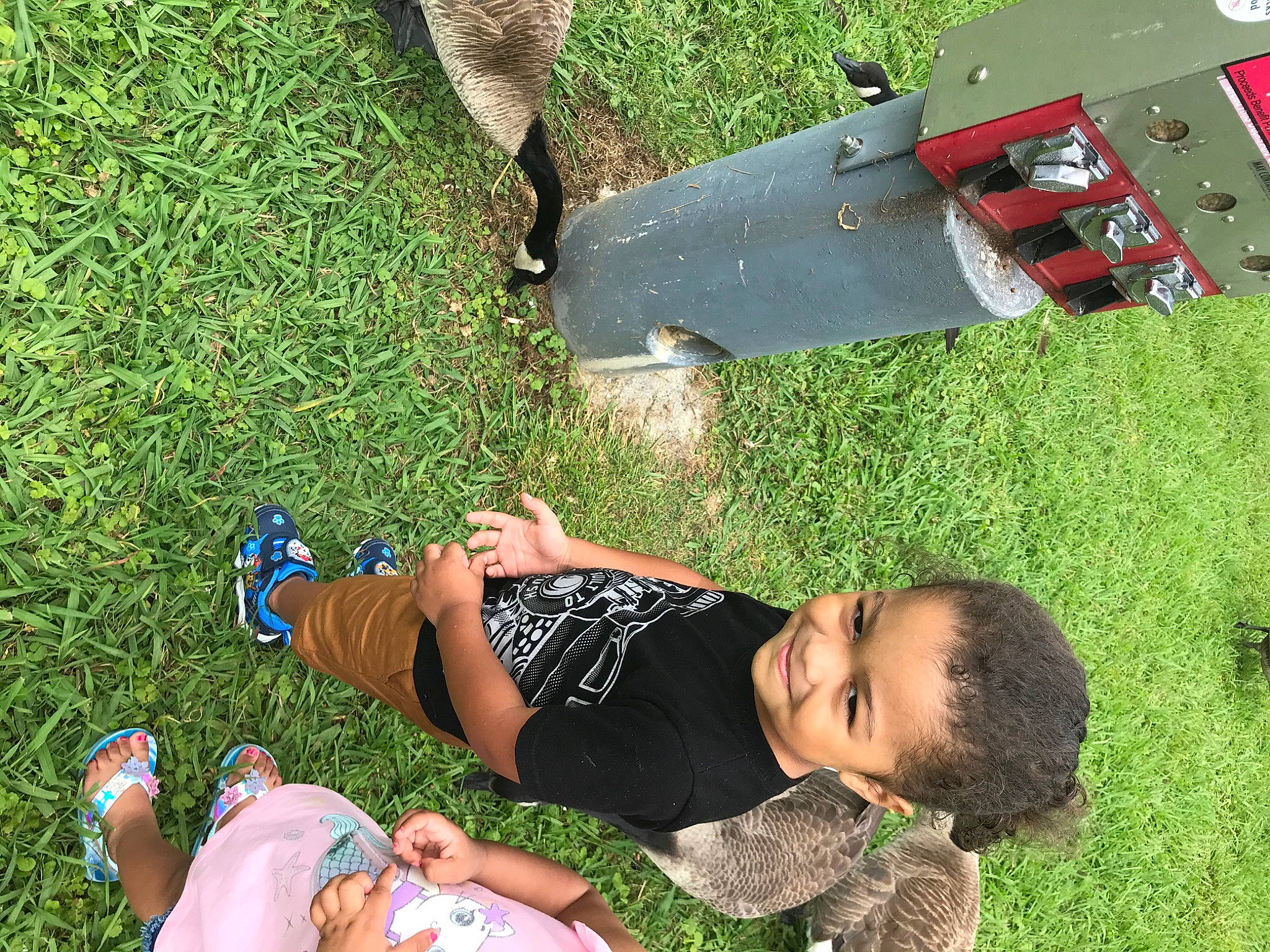 Hakeem is registered to the contest to win money with this photo: fun, grass, grass_family, joy, landscape, lawn, leg, leisure, person, plant, summer, sun_tanning, tree, vacation