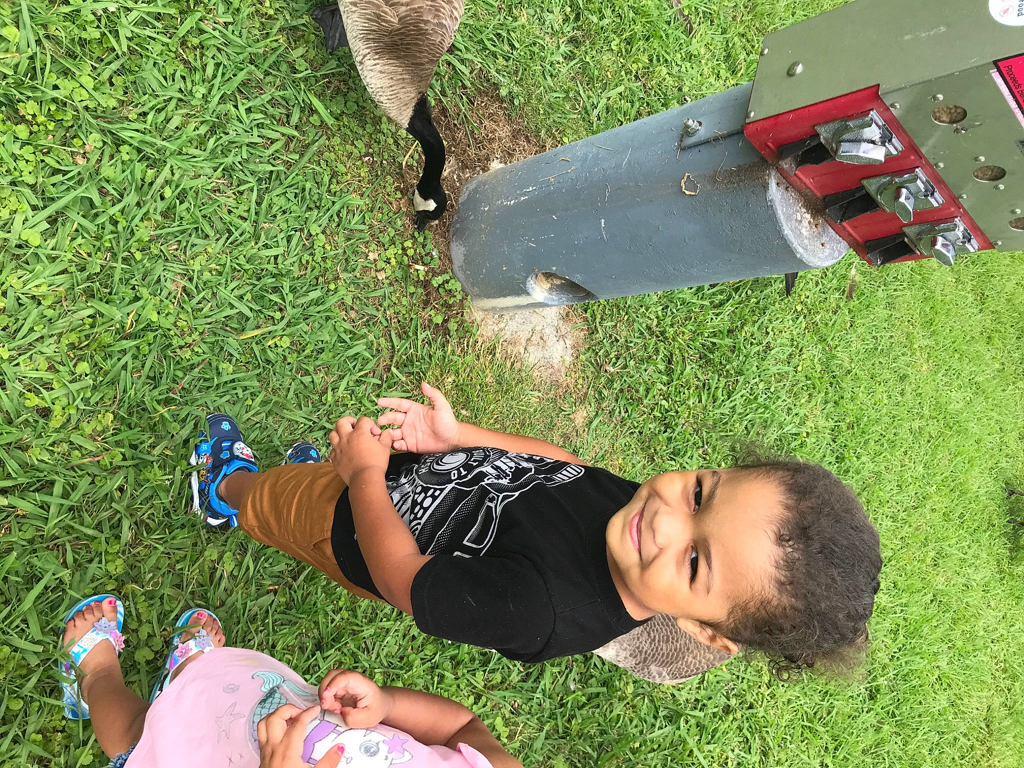 Hakeem is registered to the contest to win money with this photo: fun, grass, grass_family, joy, lawn, leisure, person, plant, summer