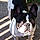 Arlo