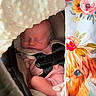 baby, newborn, sleeping, car_seat, blanket, floral_pattern, animal_print, infant, child, cozy, soft_texture, pink_clothing, secured, cute, peaceful, portrait, indoors, resting, seat_belt, toddler