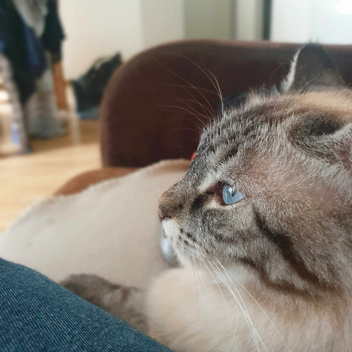 Mia