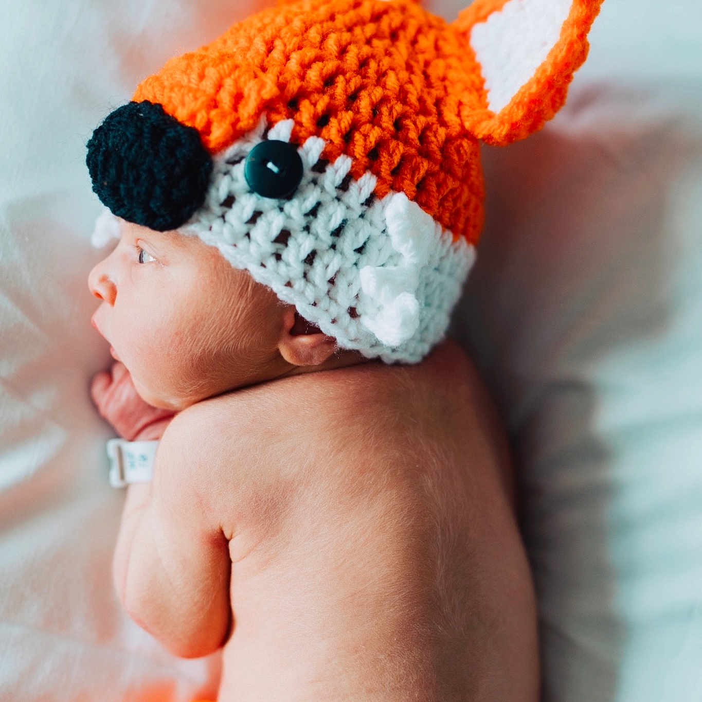 Fox joined the competition — help win amazing prizes! art, baby, baby_bloomers, baby_toddler_clothing, beanie, cap, child, costume, costume_accessory, costume_hat, crochet, ear, hat, headgear, knit_cap, knitting, orange, pattern, toddler, wool