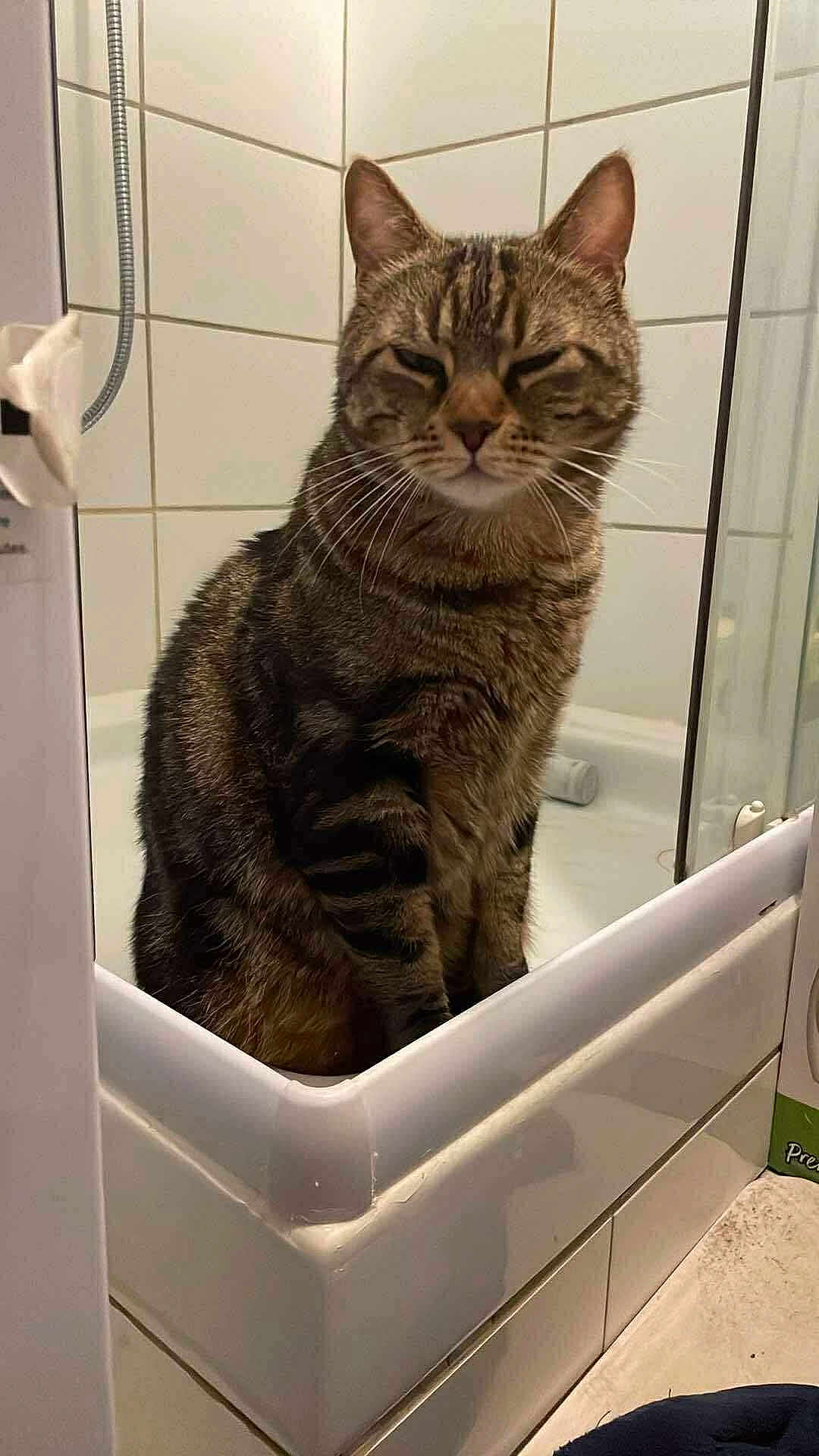 Imothep