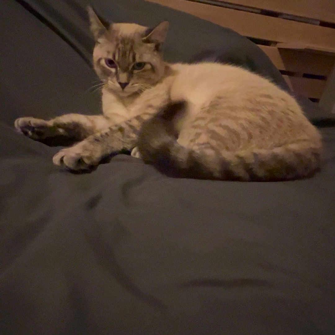 Coco