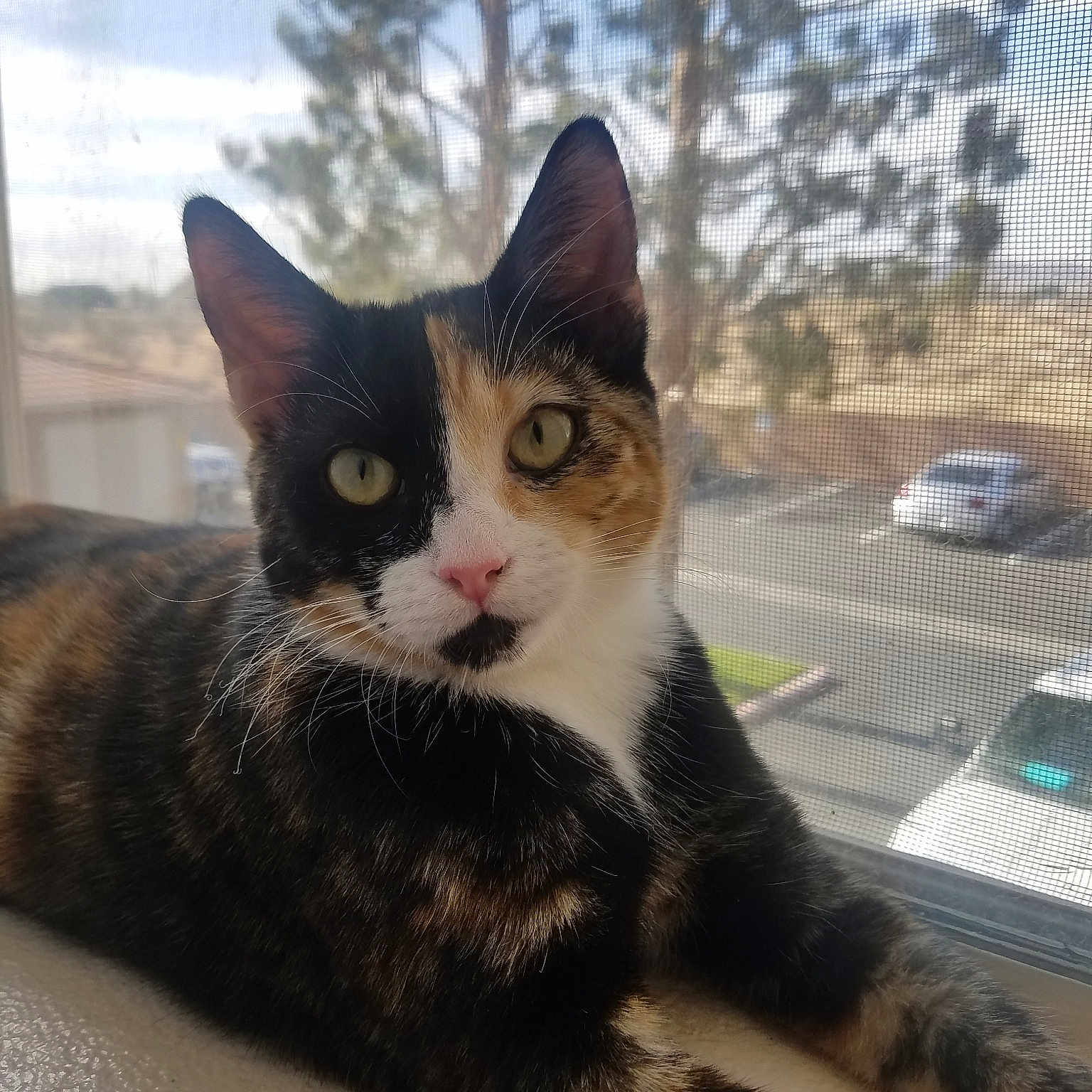 Jinx