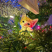 Chester is registered to the contest to win money with this photo: kitten, cat, christmas_tree, holiday_lights, tinsel, greenery, festive, cute, animal, pet, orange_cat, curious, indoors, decorations, christmas, playful, close_up, whiskers, paws, festivity