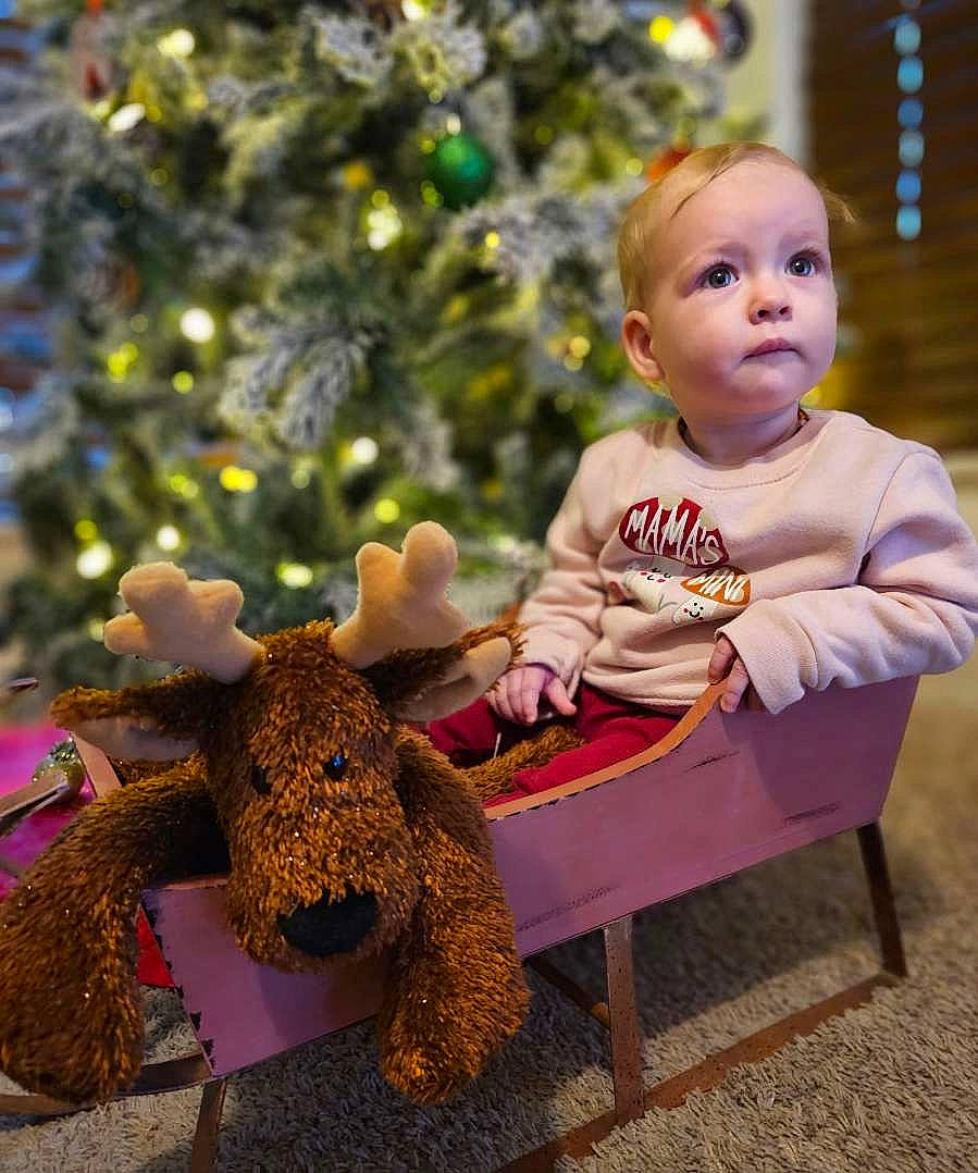 Isabella is registered to the contest to win money with this photo: baby, baby_toddler_clothing, child, christmas_decoration, christmas_ornament, christmas_tree, event, fun, grass, hairstyle, happy, holiday, mammal, ornament, people, people_in_nature, person, sitting, toddler, toy