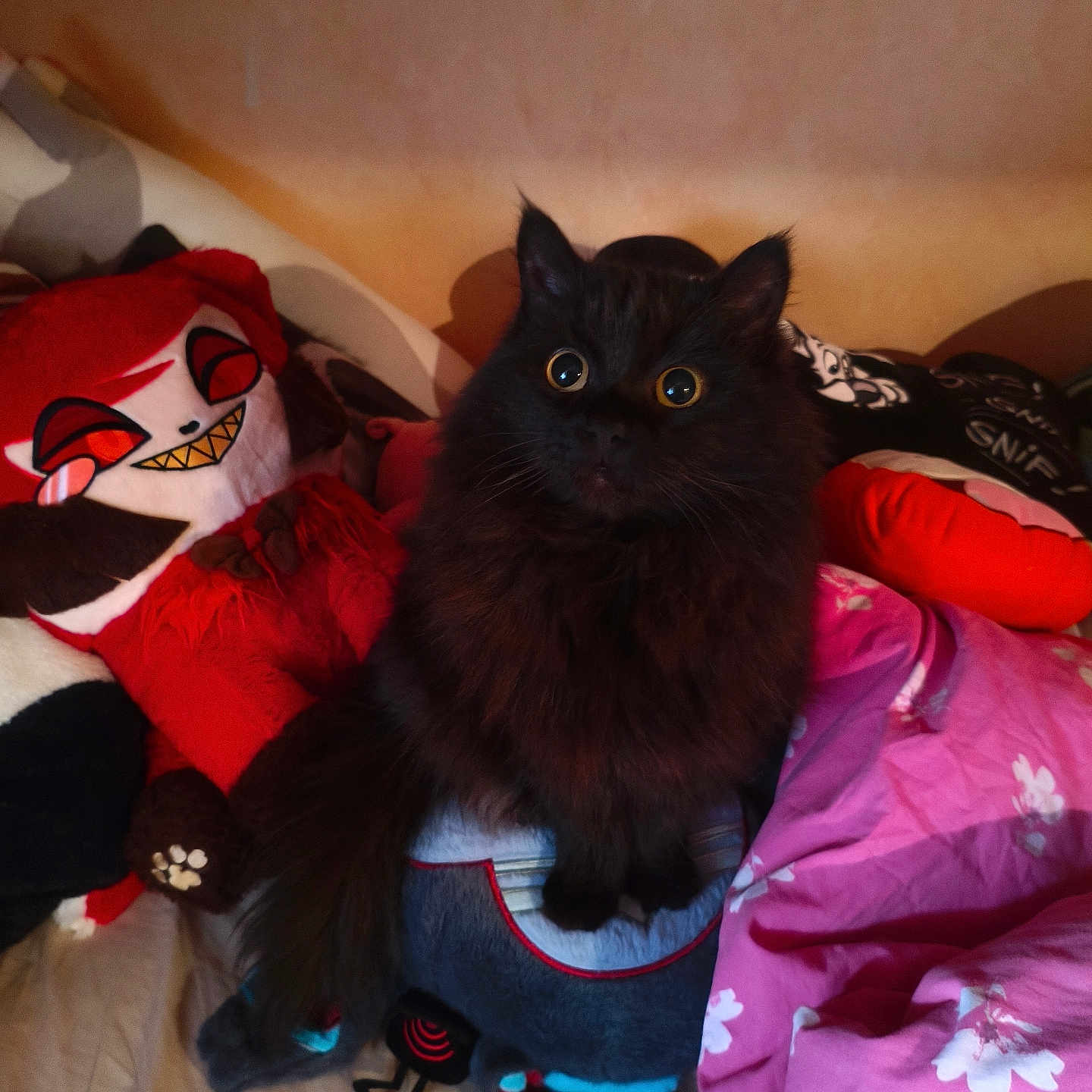 Kuro