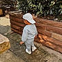 toddler, child, back_view, walking, gray_clothing, white_cap, sneakers, stone_path, brick_wall, greenery, bushes, outdoor, sunlight, shadows, casual_wear, sidewalk, nature, daytime, young_child, urban_garden