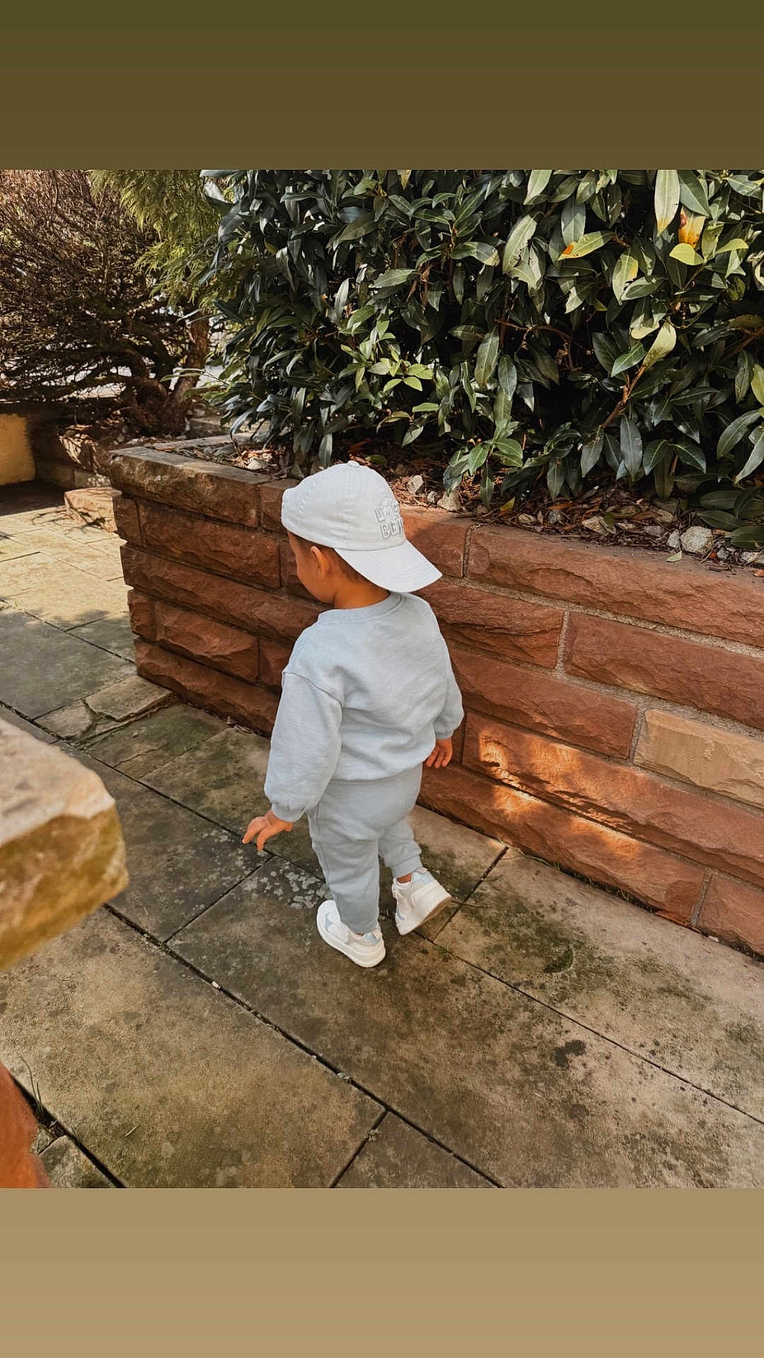 Arilio a rejoint le concours — aidez-le/la à gagner de superbes lots ! toddler, child, back_view, walking, gray_clothing, white_cap, sneakers, stone_path, brick_wall, greenery, bushes, outdoor, sunlight, shadows, casual_wear, sidewalk, nature, daytime, young_child, urban_garden