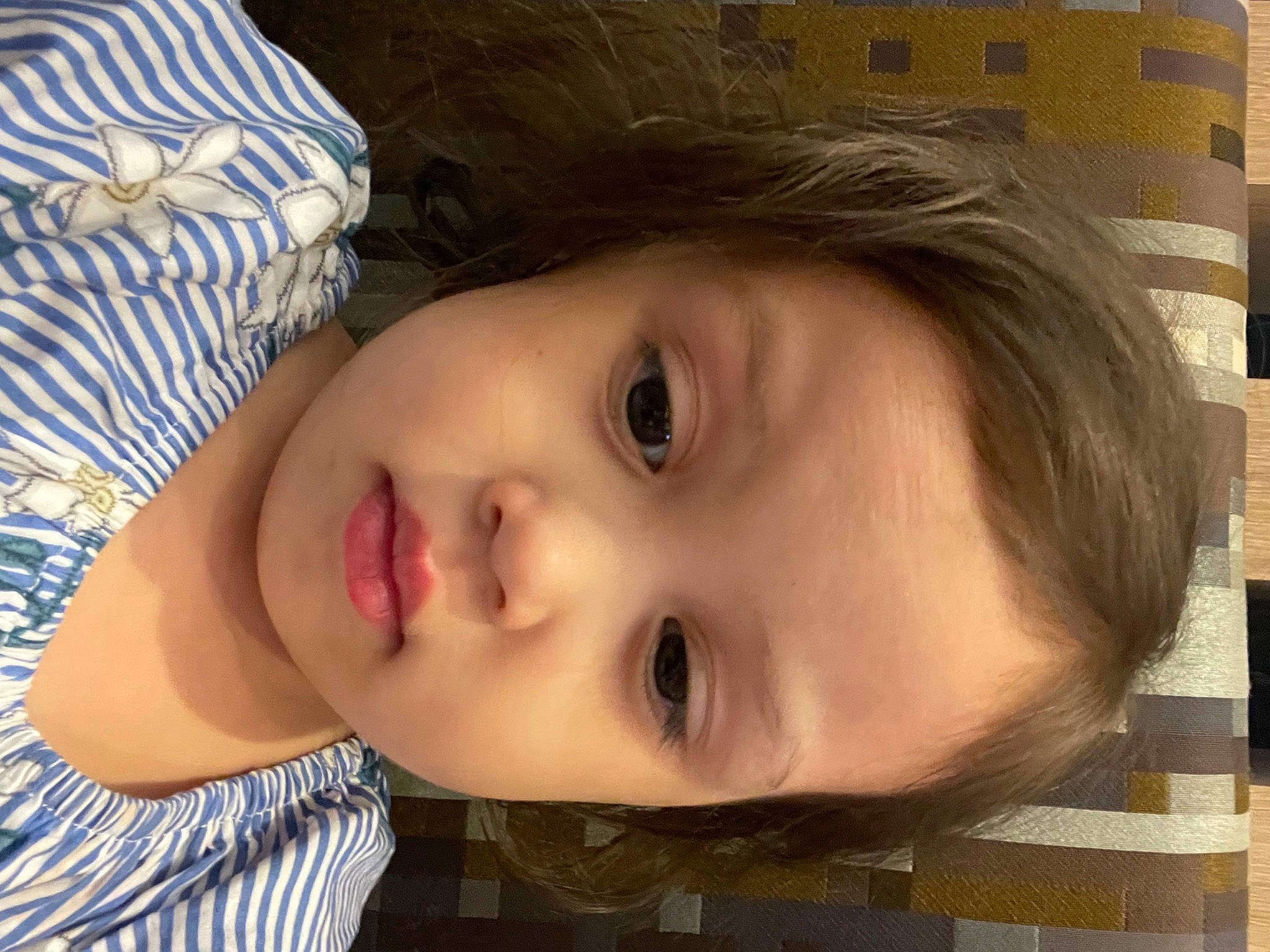 Beatrice is registered to the contest to win money with this photo: cheek, chin, eye, eyebrow, eyelash, forehead, happy, head, iris, jaw, lip, mouth, neck, nose, person, plant, skin, toddler, tree, window