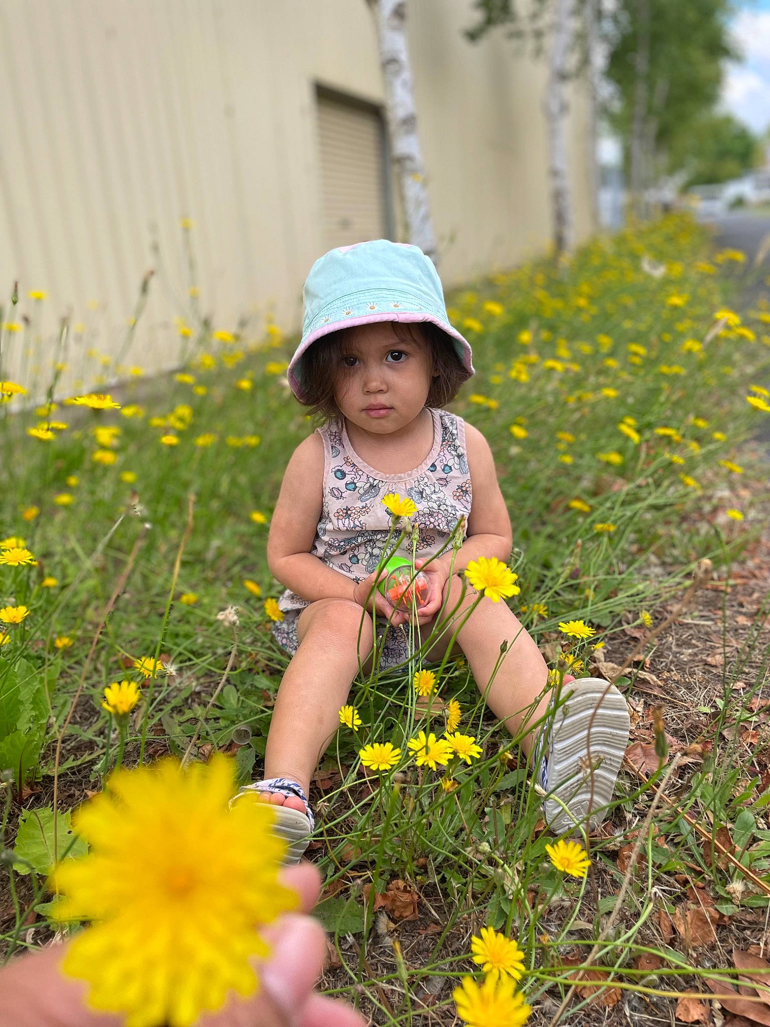 Beatrice is registered to the contest to win money with this photo: baby_toddler_clothing, botany, clothing, facial_expression, flower, flowering_plant, fun, grass, grass_family, happy, hat, headwear, leaf, meadow, people_in_nature, person, petal, photograph, plant, summer