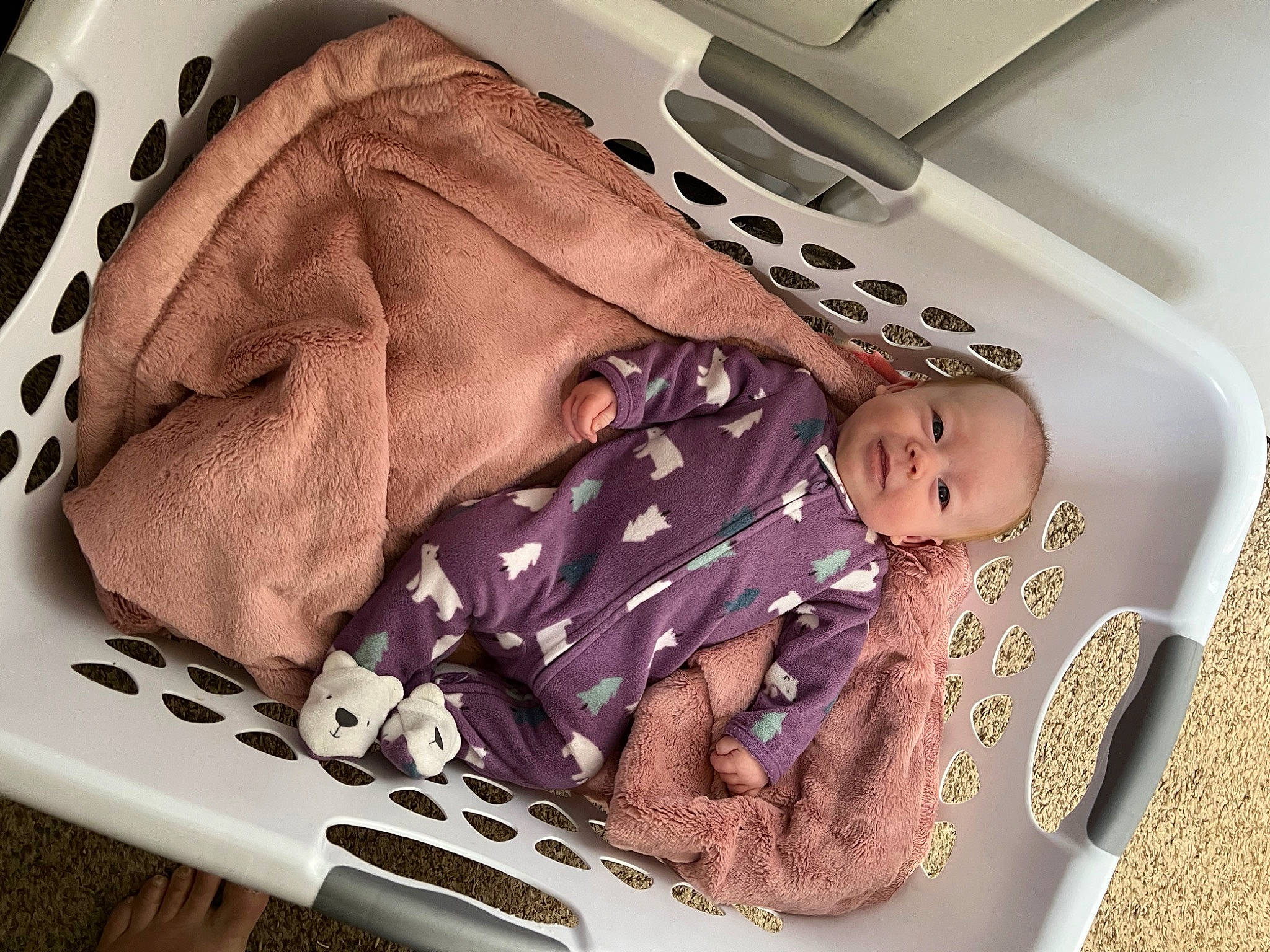 Bailey is registered to the contest to win money with this photo: baby, baby_carriage, baby_products, baby_safety, baby_sleeping, baby_toddler_clothing, bag, bed, car_seat, child, comfort, infant_bed, kitchen_utensil, linens, nap, pattern, person, seat_belt, sleep, toddler