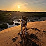 Una participe au concours pour gagner de l'argent avec cette photo : dog, beach, sunset, sand, rocks, tide_pool, shadow, sunlight, outdoor, coast, shore, paw_prints, playful_dog, black_and_white, happy, portrait, landscape, natural_light, horizon, sky