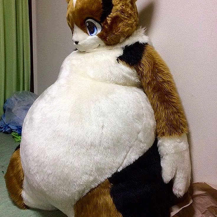 Sir Poops Alot is registered to the contest to win money with this photo: background, black, brown, cartoon, cat, clutter, cushion, fabric, floor, furry, indoor, large, oversized, plush, room, soft, stuffed_animal, toy, wall, white