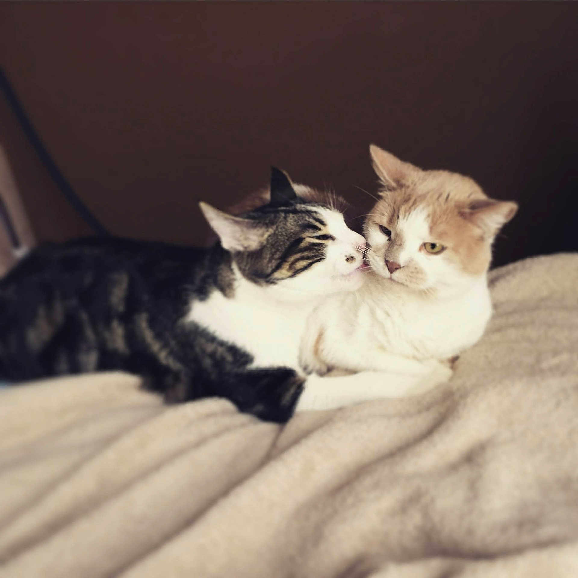 Marley And Teddy is registered to the contest to win money with this photo: