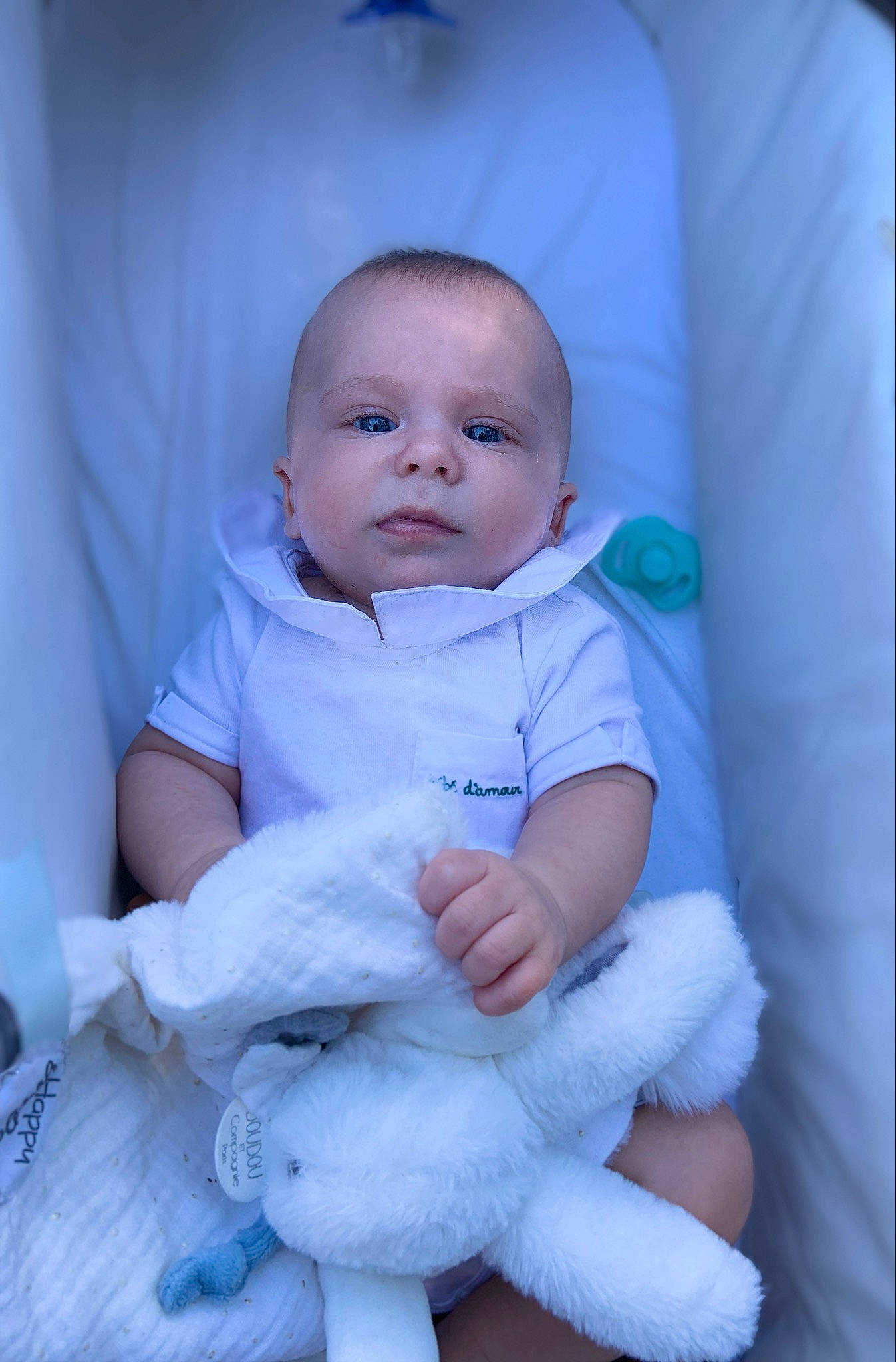 évan participe au concours pour gagner de l'argent avec cette photo : baby, baby_toddler_clothing, cheek, child, chin, comfort, electric_blue, eyebrow, gesture, happy, iris, linens, lip, nose, person, purple, sitting, skin, sleeve, smile