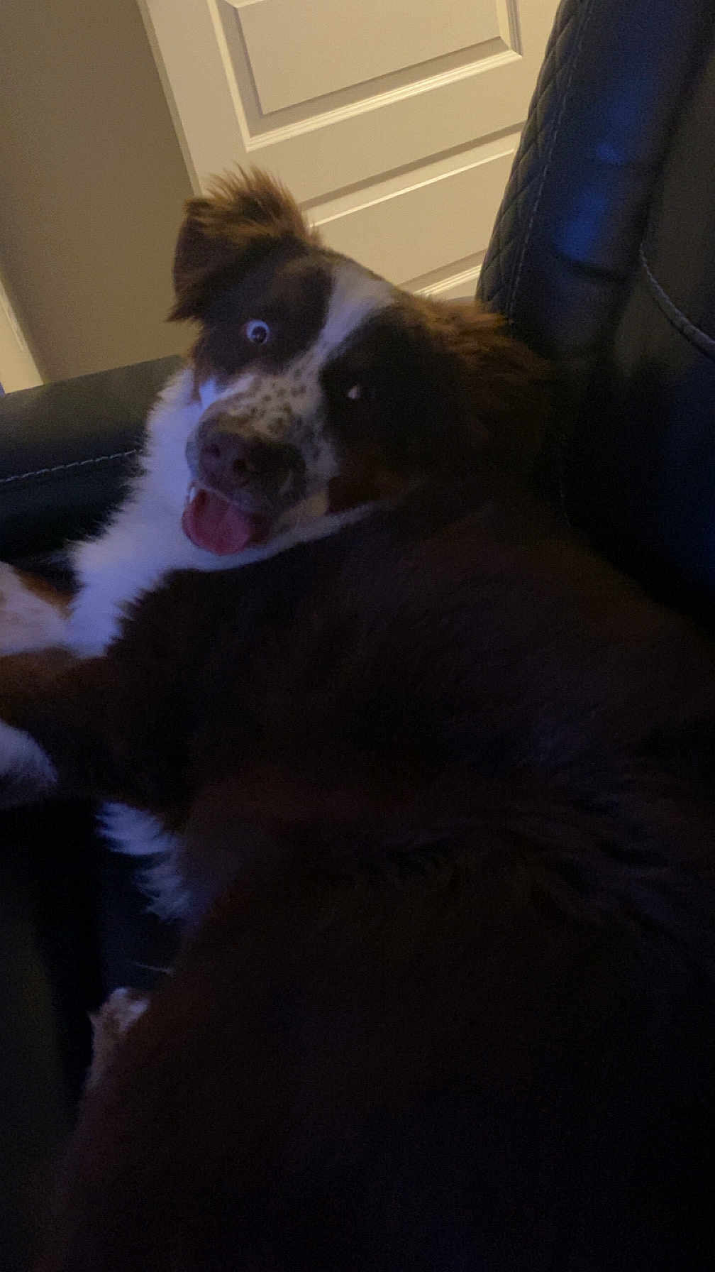 Jax