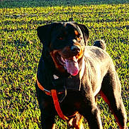Orka participe au concours pour gagner de l'argent avec cette photo :